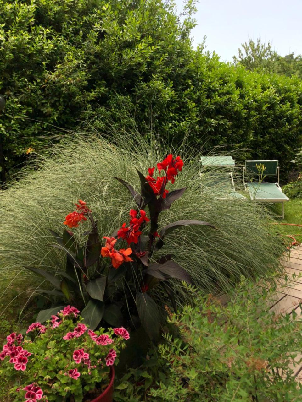 Casa Lo Bed & Breakfast เชซานา ภายนอก รูปภาพ